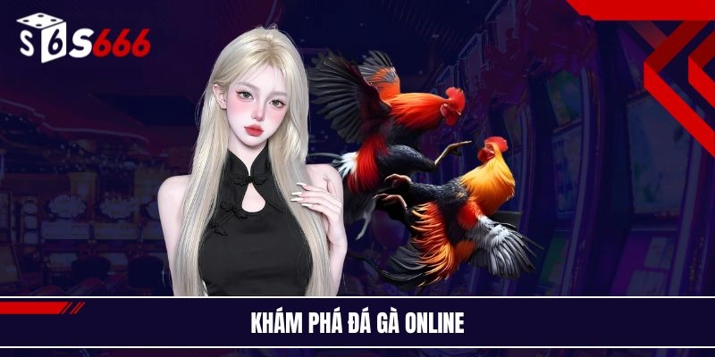 Khám phá đá gà online